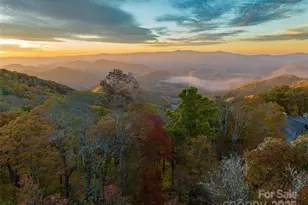 616 Old Growth Forest Rd, Burnsville, NC 28714 - Photo 2