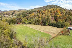 00 Beaverdam Rd, Canton, NC 28716 - Photo 1