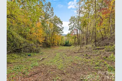 00 Beaverdam Road, Canton, NC 28716 - Photo 8