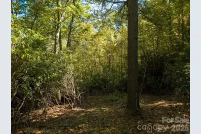 0 Big Hungry Road, Flat Rock, NC 28731 - Photo 16