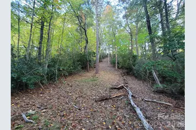 0 Big Hungry Road, Flat Rock, NC 28731 - Photo 24