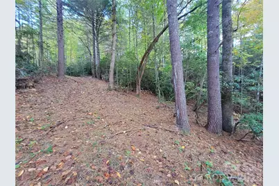 0 Big Hungry Road, Flat Rock, NC 28731 - Photo 26
