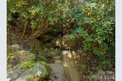0 Big Hungry Road, Flat Rock, NC 28731 - Photo 2