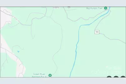 0 Big Hungry Road, Flat Rock, NC 28731 - Photo 40