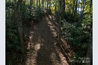0 Big Hungry Road, Flat Rock, NC 28731 - Photo 28