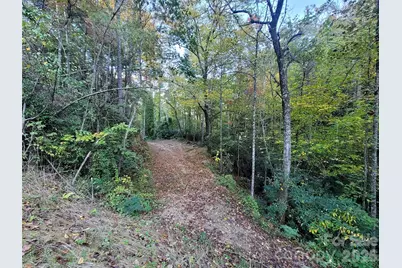 0 Big Hungry Road, Flat Rock, NC 28731 - Photo 12