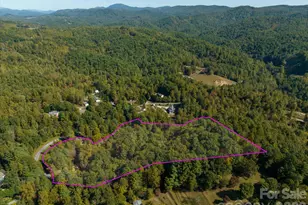 0 Big Hungry Rd, Flat Rock, NC 28731 - Photo 1