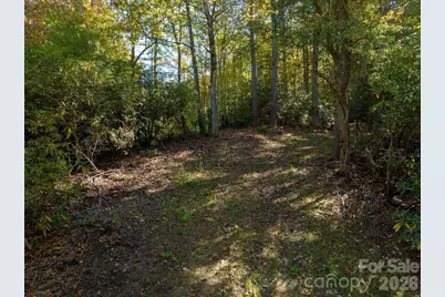 0 Big Hungry Road, Flat Rock, NC 28731 - Photo 30