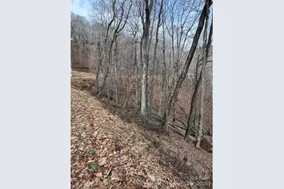 554 Flame Azalea Lane #112, Mars Hill, NC 28754 - Photo 1