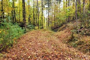 00 Thorncrest Dr, Burnsville, NC 28714 - Photo 6