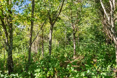 1231 Baileys Branch Road #3, Marshall, NC 28753 - Photo 30