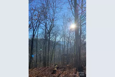 000 Wash Freeman Road, Hendersonville, NC 28792 - Photo 2