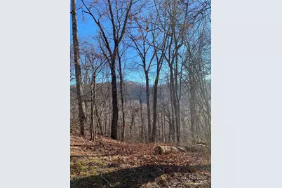 000 Wash Freeman Road, Hendersonville, NC 28792 - Photo 1