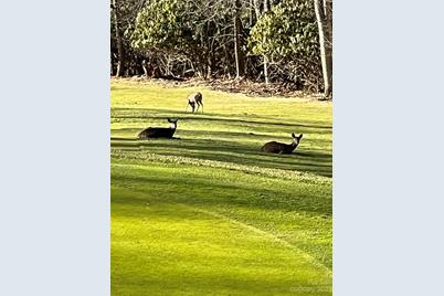 000 Puncheon Lane #170, Mars Hill, NC 28754 - Photo 4