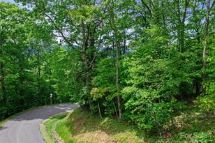 Lot 17 Old Growth Forest Rd, Burnsville, NC 28714 - Photo 4