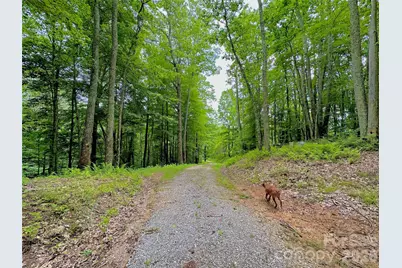 149 Painter Road, Banner Elk, NC 28604 - Photo 6
