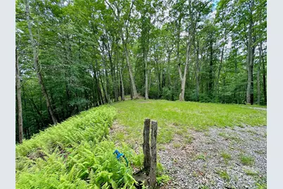 149 Painter Road, Banner Elk, NC 28604 - Photo 36