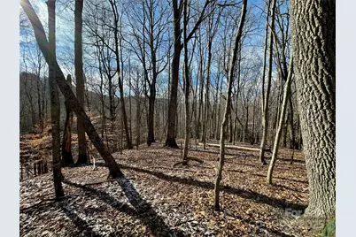 149 Painter Road, Banner Elk, NC 28604 - Photo 28