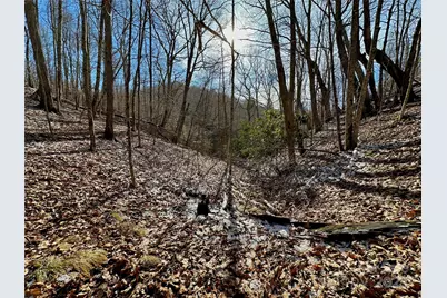 149 Painter Road, Banner Elk, NC 28604 - Photo 30