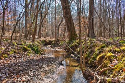 0 Woodstock Lane #170, Rutherfordton, NC 28139 - Photo 2