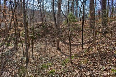 0 Woodstock Lane #170, Rutherfordton, NC 28139 - Photo 4