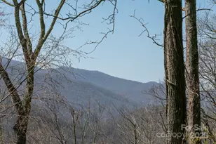 Lot 13 Austin Mountain Dr, Burnsville, NC 21714 - Photo 6