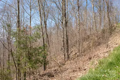 Lot 13 Austin Mountain Drive #13/3, Burnsville, NC 21714 - Photo 8