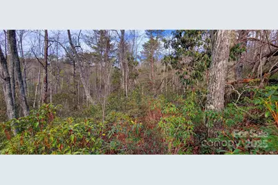 V/L Chickasaw Way #2B, Marion, NC 28752 - Photo 12