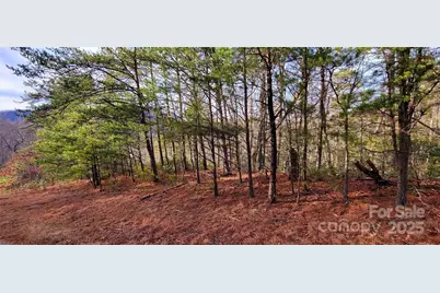 V/L Chickasaw Way #2B, Marion, NC 28752 - Photo 2