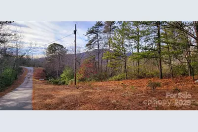V/L Chickasaw Way #2B, Marion, NC 28752 - Photo 10