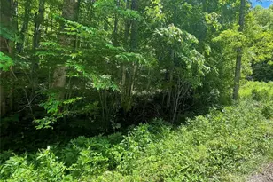 22 Zebulon Ln, Mars Hill, NC 28754 - Photo 4