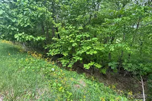 22 Zebulon Ln, Mars Hill, NC 28754 - Photo 8