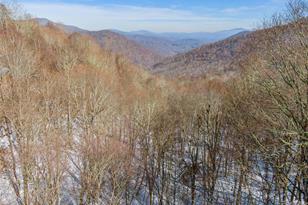 Lot 44 Black Bear Run, Mars Hill, NC 28754 - Photo 6