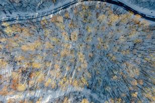 Lot 15 Mountain Gait Dr, Mars Hill, NC 28754 - Photo 2