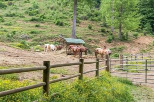 Lot 8 Settlement Way, Mars Hill, NC 28754 - Photo 12