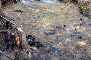 315 Garren Crk Rd, Brevard, NC 28712 - Photo 38