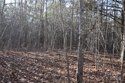 Lot 75 Tayberry Drive, Nebo, NC 28761 - Photo 4