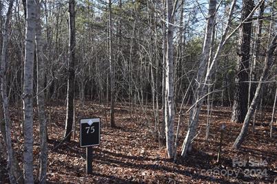 Lot 75 Tayberry Drive, Nebo, NC 28761 - Photo 1