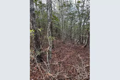 00 Howell Road, Brevard, NC 28712 - Photo 2