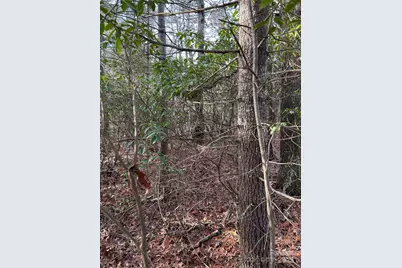 00 Howell Road, Brevard, NC 28712 - Photo 8
