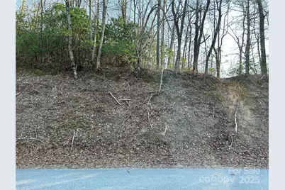 00 Howell Road, Brevard, NC 28712 - Photo 10