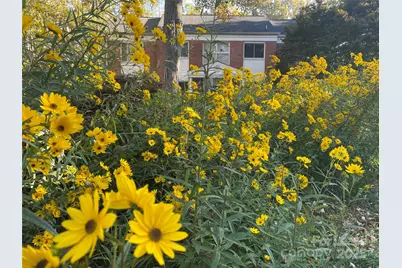 2513 Vail Avenue #4, Charlotte, NC 28207 - Photo 12