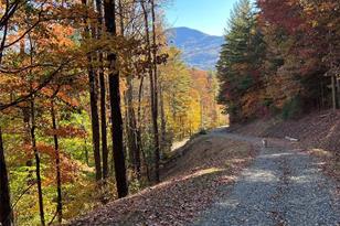 001 Shoal Pond Cove, Burnsville, NC 28714 - Photo 20