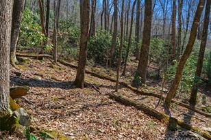 000 Big Ridge Rd, Burnsville, NC 28714 - Photo 8