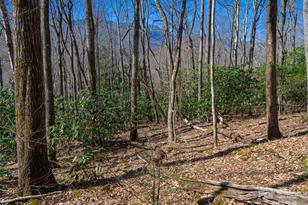 000 Big Ridge Rd, Burnsville, NC 28714 - Photo 2