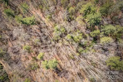 205 Claridge Way, Hendersonville, NC 28739 - Photo 8