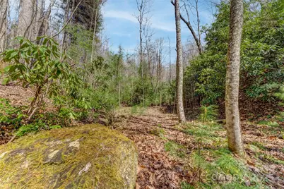 205 Claridge Way, Hendersonville, NC 28739 - Photo 26