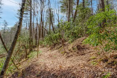 205 Claridge Way, Hendersonville, NC 28739 - Photo 22