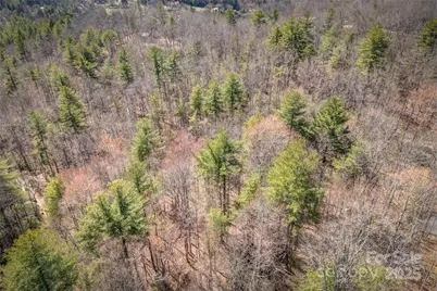 205 Claridge Way, Hendersonville, NC 28739 - Photo 10