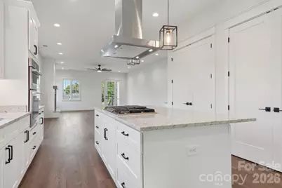 20 Maple Knoll Drive, Hendersonville, NC 28792 - Photo 8